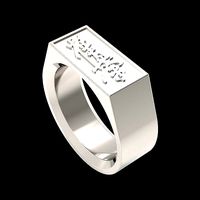 Kyokushinkai ring | 3D