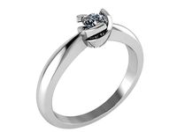 ring with rotating basket 0016 | 3D