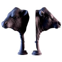 Angus Bull | 3D
