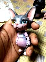 Sphynx cat  BJD | 3D