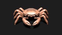 Crab sea | 3D