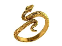 Ring299 | 3D