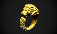 Lion Dragon Ring | 3D