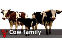 Cow family