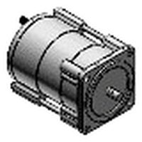 Induction motor