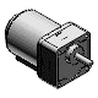 Variable speed induction motor