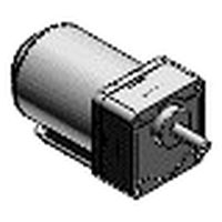 Variable speed unit motor