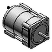 Induction motor