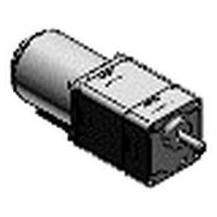 Variable speed induction motor