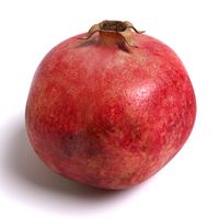 Pomegranate 3D Model