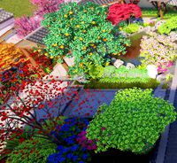 Courtyard Garden SU Model