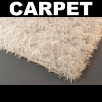 Rug 3D Model