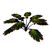 Alien Plant