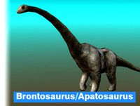 Brontosaurus/Apatosaurus Dinosaur