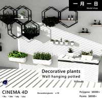 Decorative Plants Wall hanging potted