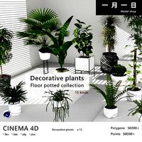 Decorative plants floor potted collection