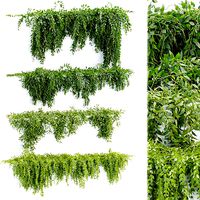Hanging wall plants collection vol 90