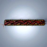 Centipede key holder and coat rack | 3D