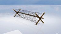 Barb wire  anti infantry