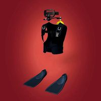 Scuba Diving Equipment