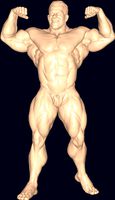 Bodybuilder