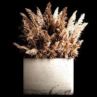 Deorative Bouquet In A Concrete Vase Of Dry Reeds 268