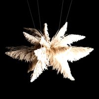 Hanging Bouquet Of Dry Reeds For Decoration 271