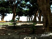 Park 3D Model
