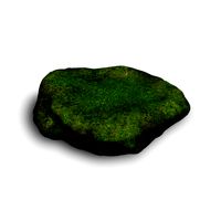 Rock 07 - Moss