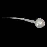 Sperm Cells 3D Model