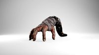 Hand Parasite