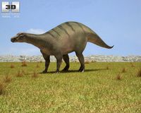 Iguanodon Iguanodon Bernissartensis 3D Model