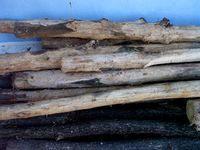 Wood tree trunk package textures 3D Model