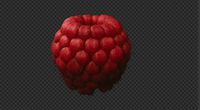 Raspberry