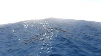 Ocean