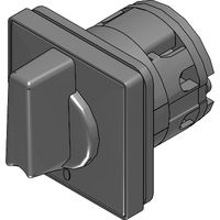 Rotary cam switches