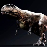 Giganotosaurus