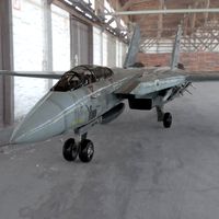 F 14 Tomcat 3D Model