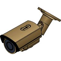 Bullet11