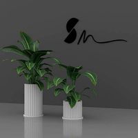 indoorplantSm1