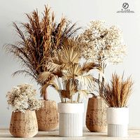 Indoor-Plant-Set3-Dry-Plants
