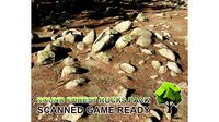 Round Forest Rocks Pack