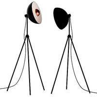 Apollo Seed Design Floor Lamp