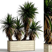 Plants collection 750