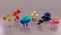 Mushrooms Collection