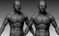 Highpoly Human Character