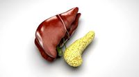 Liver with Pancreas