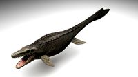 Mosasaurus