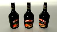 Bailey Bottle 3D Model