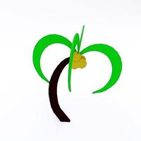 Cartoon coconut tree 3d model